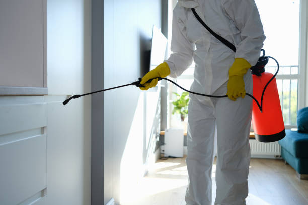 Best Mold Testing  in Iuka, MS